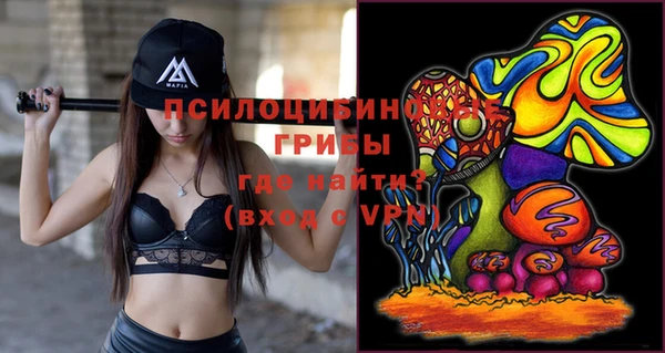 шишки Абинск