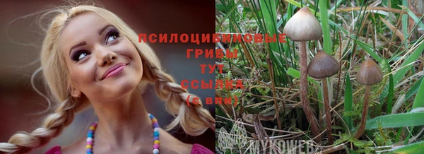 MESCALINE Абаза