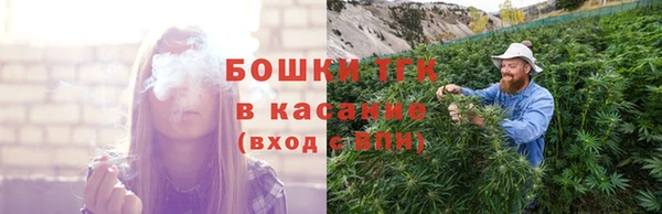 шишки Абинск