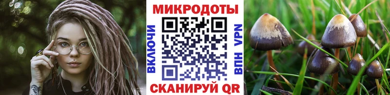 Галлюциногенные грибы прущие грибы  Ленинградская 
